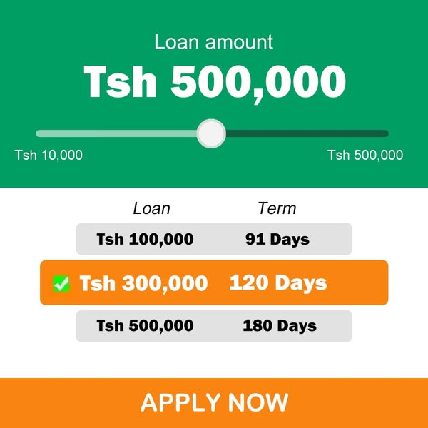 M-Pesa Tanzania Loans